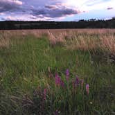 Review photo of Elk Mountain Campground — Wind Cave National Park by Aaron C., July 5, 2019