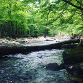 Review photo of Elkmont Campground — Great Smoky Mountains National Park by Brendyn B., July 5, 2019