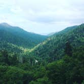 Review photo of Elkmont Campground — Great Smoky Mountains National Park by Brendyn B., July 5, 2019