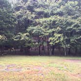 Review photo of Bledsoe Creek State Park Campground by Shelly S., September 17, 2016