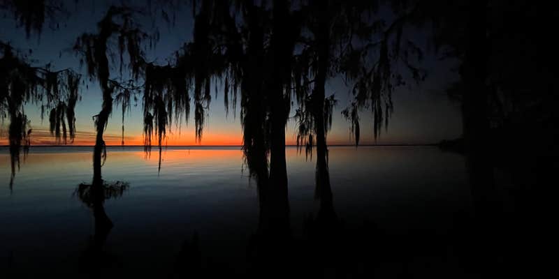 Camper submitted image from Pine Island RV & Marina