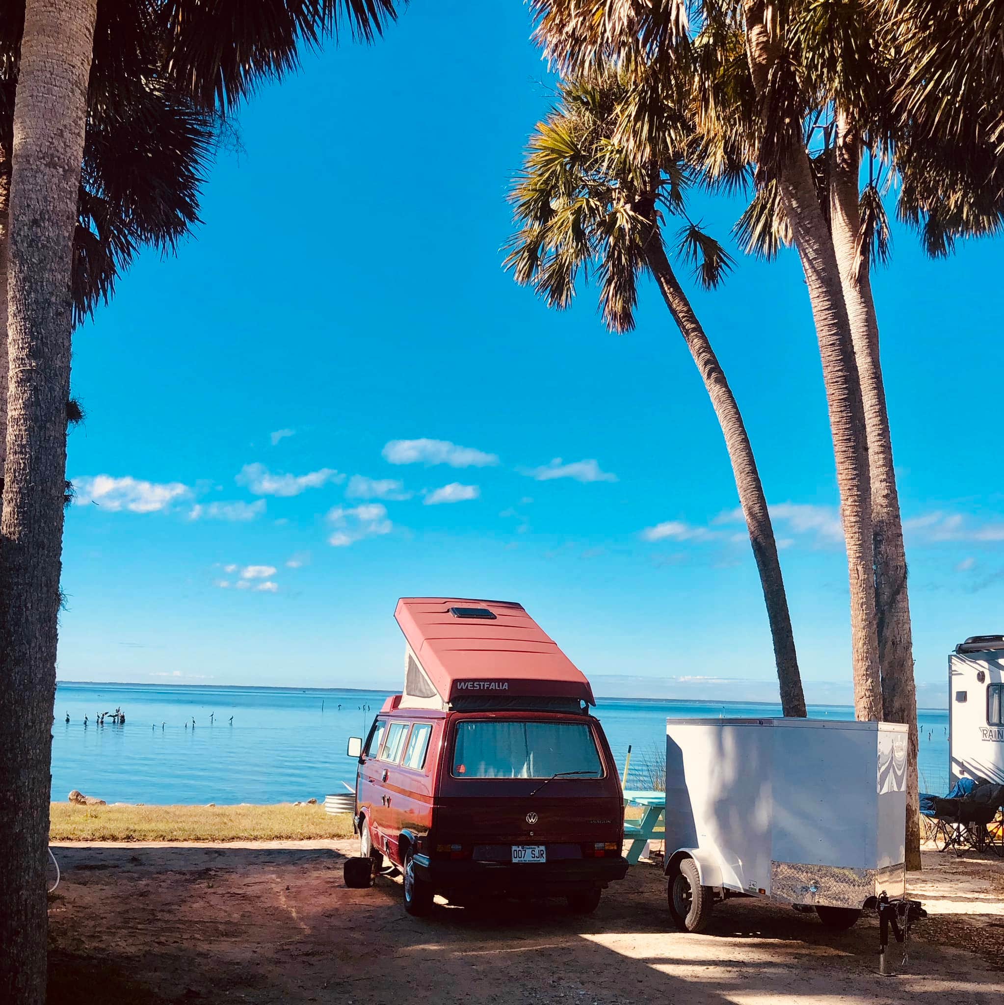 Pine I.'s photo of camping with pets at Pine Island RV & Marina near Ocala National Forest