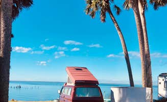 Pine I.'s photo of camping with pets at Pine Island RV & Marina near Ocala National Forest