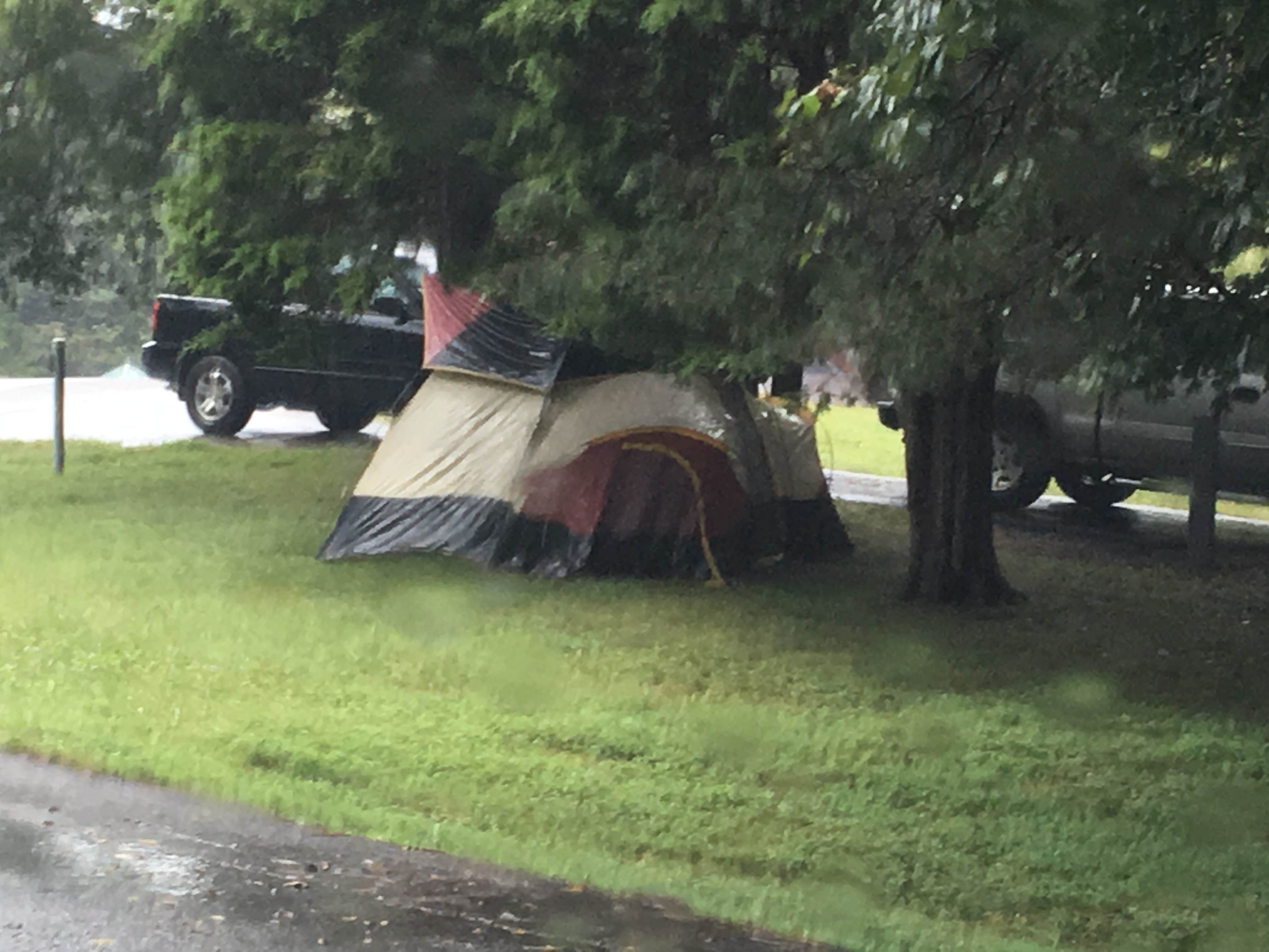 Camper submitted image from Bledsoe Creek State Park Campground - 3