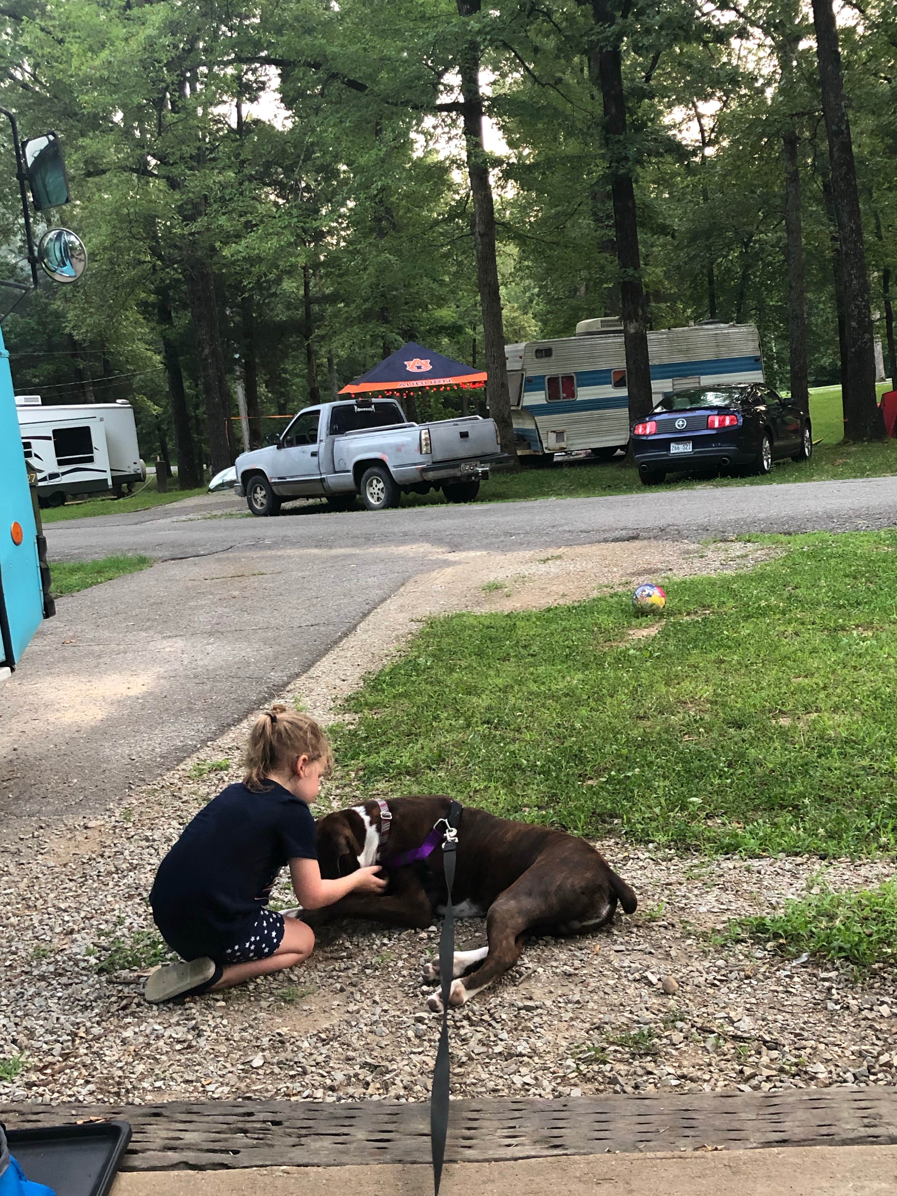 Mandy J.'s photo of camping with pets at Lake Charles State Park Campground near Batesville, AR