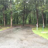 Review photo of Bledsoe Creek State Park Campground by Shelly S., September 17, 2016