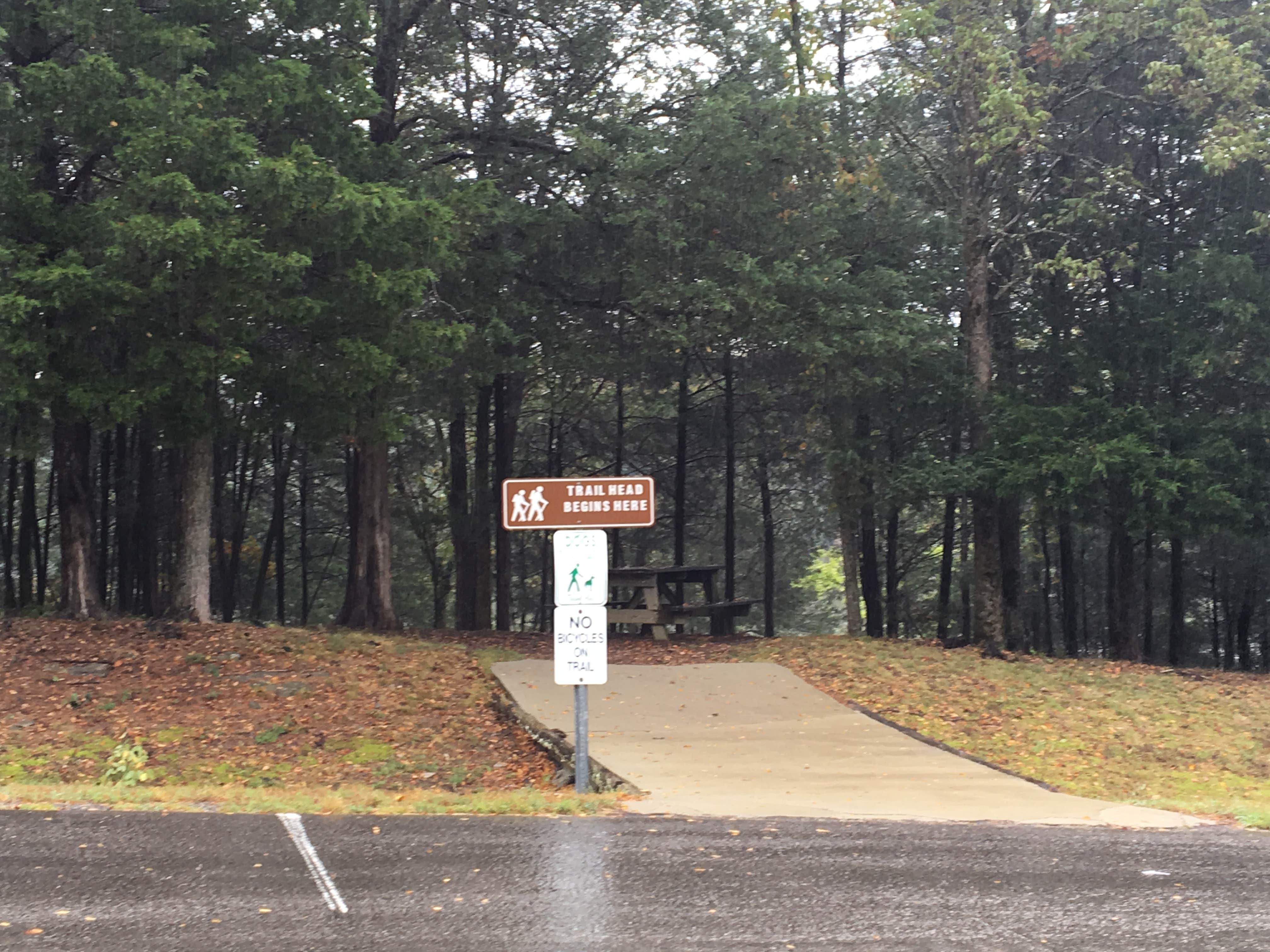 Camper submitted image from Bledsoe Creek State Park Campground - 5