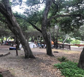 Camper-submitted photo from Laguna Seca Recreation Area