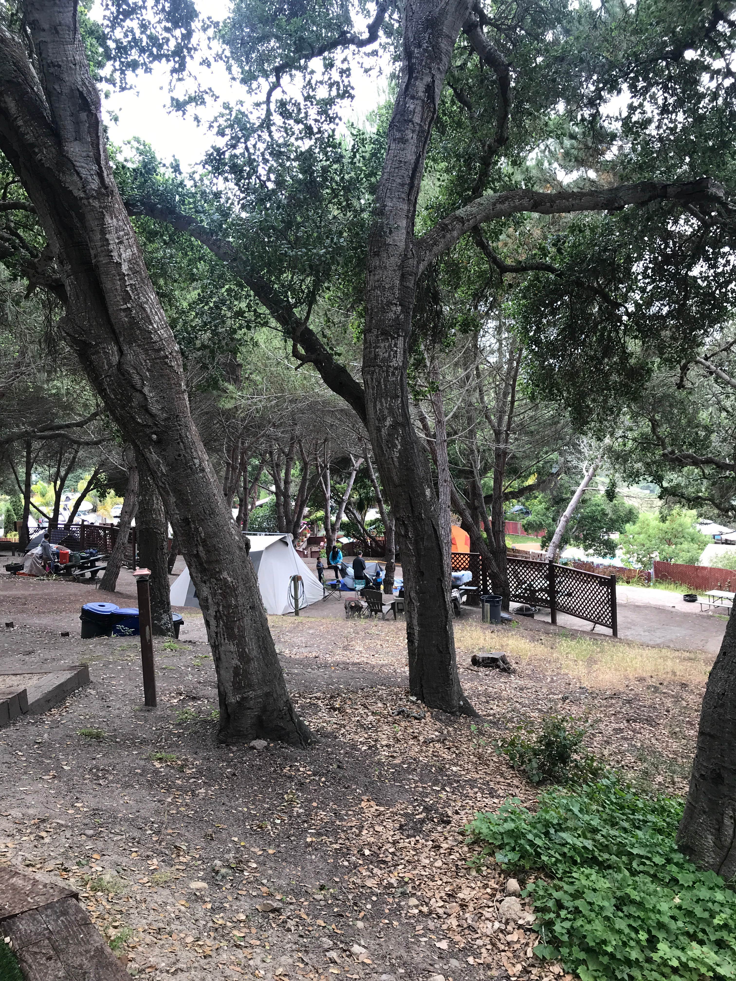 Camper submitted image from Saddle Mountain Ranch - 3