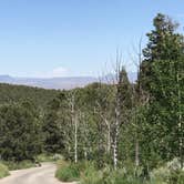 Review photo of Lower Lehman Campground — Great Basin National Park by Myrna G., July 5, 2019