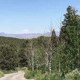 Review photo of Lower Lehman Creek Campground — Great Basin National Park by Myrna G., July 5, 2019