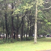 Review photo of Bledsoe Creek State Park Campground by Shelly S., September 17, 2016