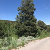 Review photo of Lower Lehman Creek Campground — Great Basin National Park by Myrna G., July 5, 2019