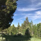 Review photo of Lower Lehman Campground — Great Basin National Park by Myrna G., July 5, 2019