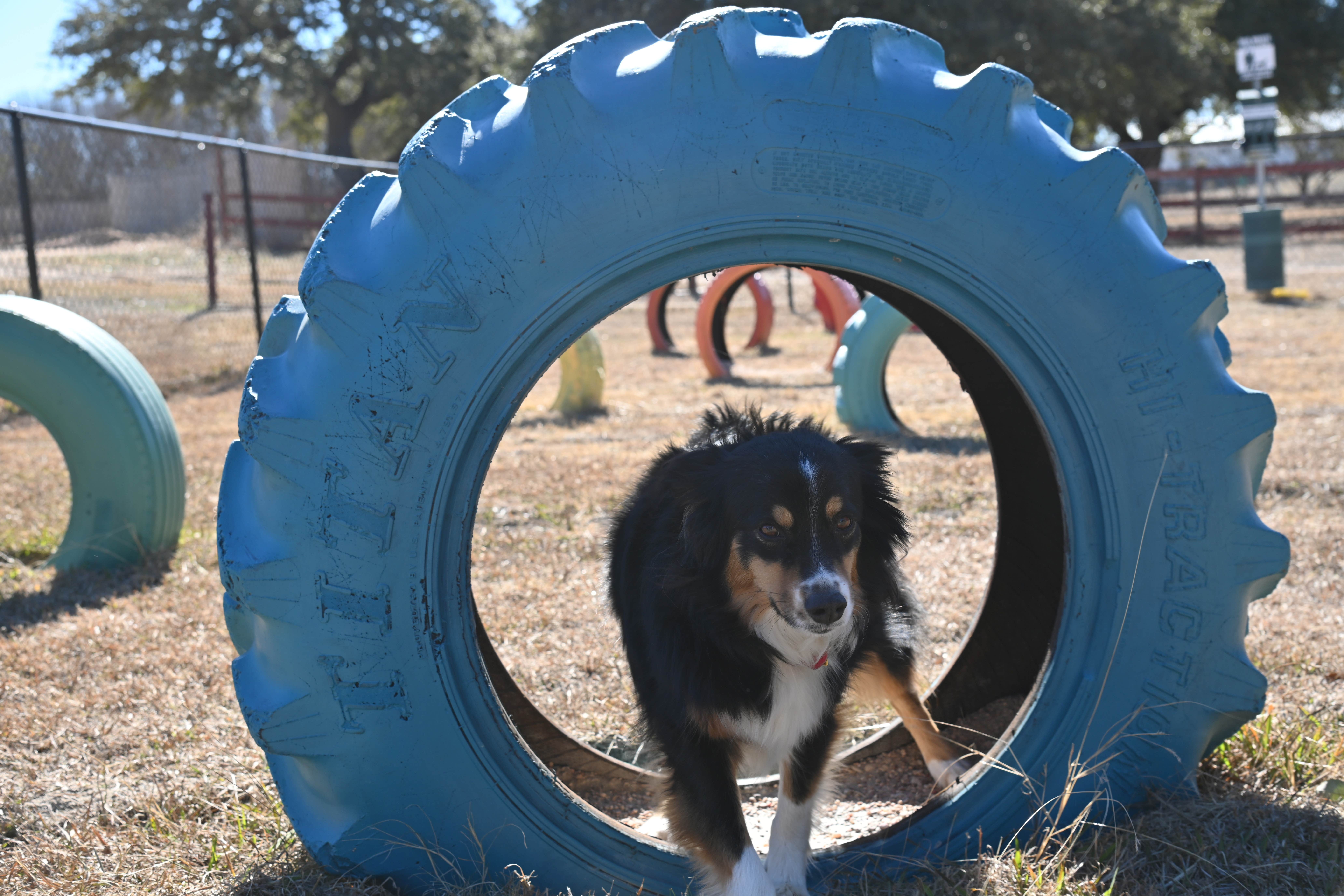 Landon's photo of camping with pets at Eagle's Nest Village RV Park near San Saba, TX