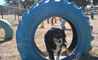 Landon's photo of camping with pets at Eagle's Nest Village RV Park near San Saba, TX