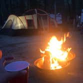 Review photo of Beach Camping Area by Erin B., July 5, 2019