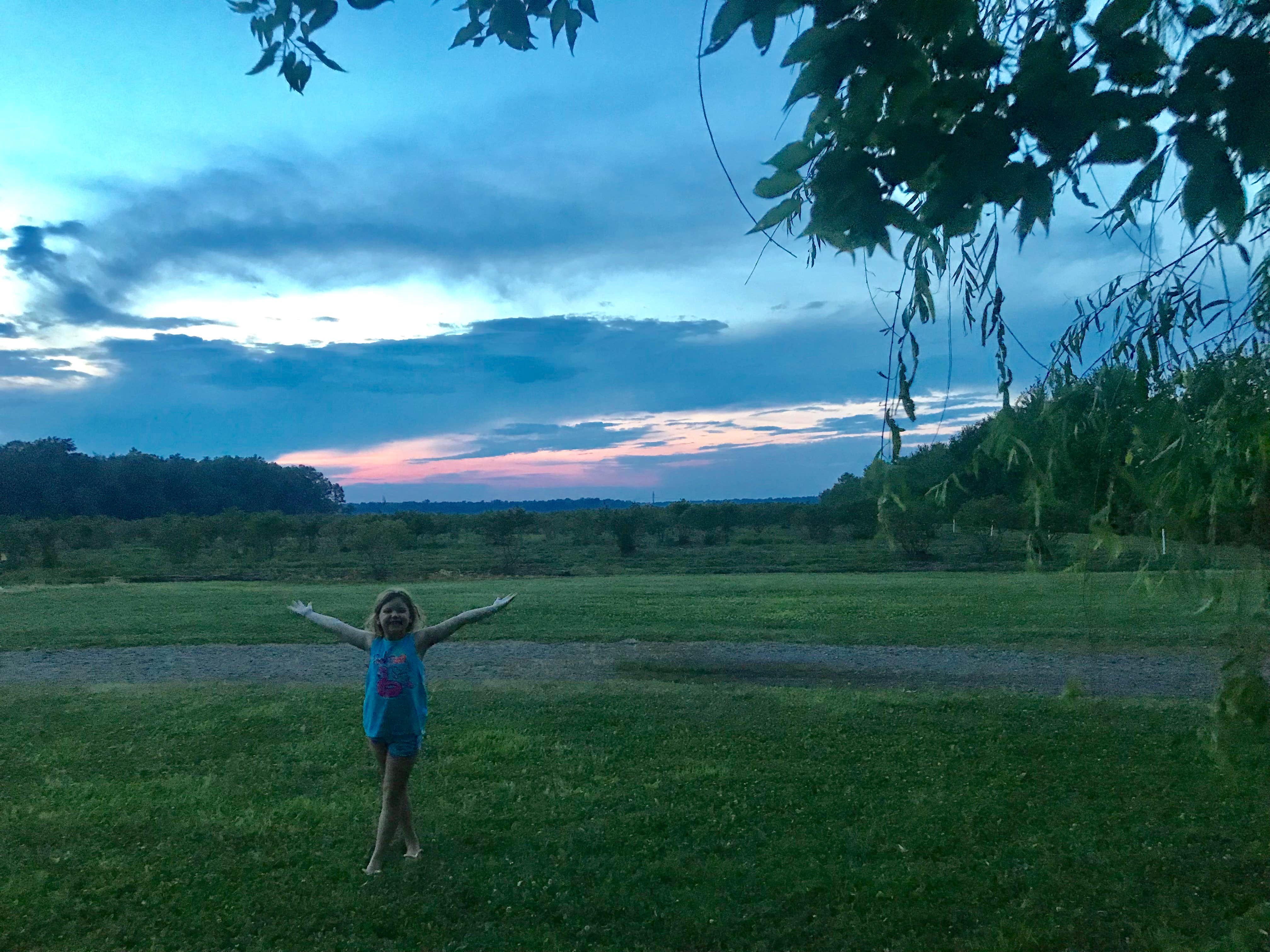 Camper submitted image from Historic Blueberry Farm - 2