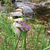 Review photo of Donkey Creek Campground by Gordie  H., July 6, 2019