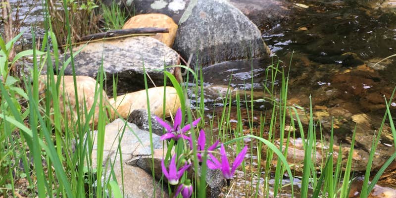 Camper submitted image from Donkey Creek Campground