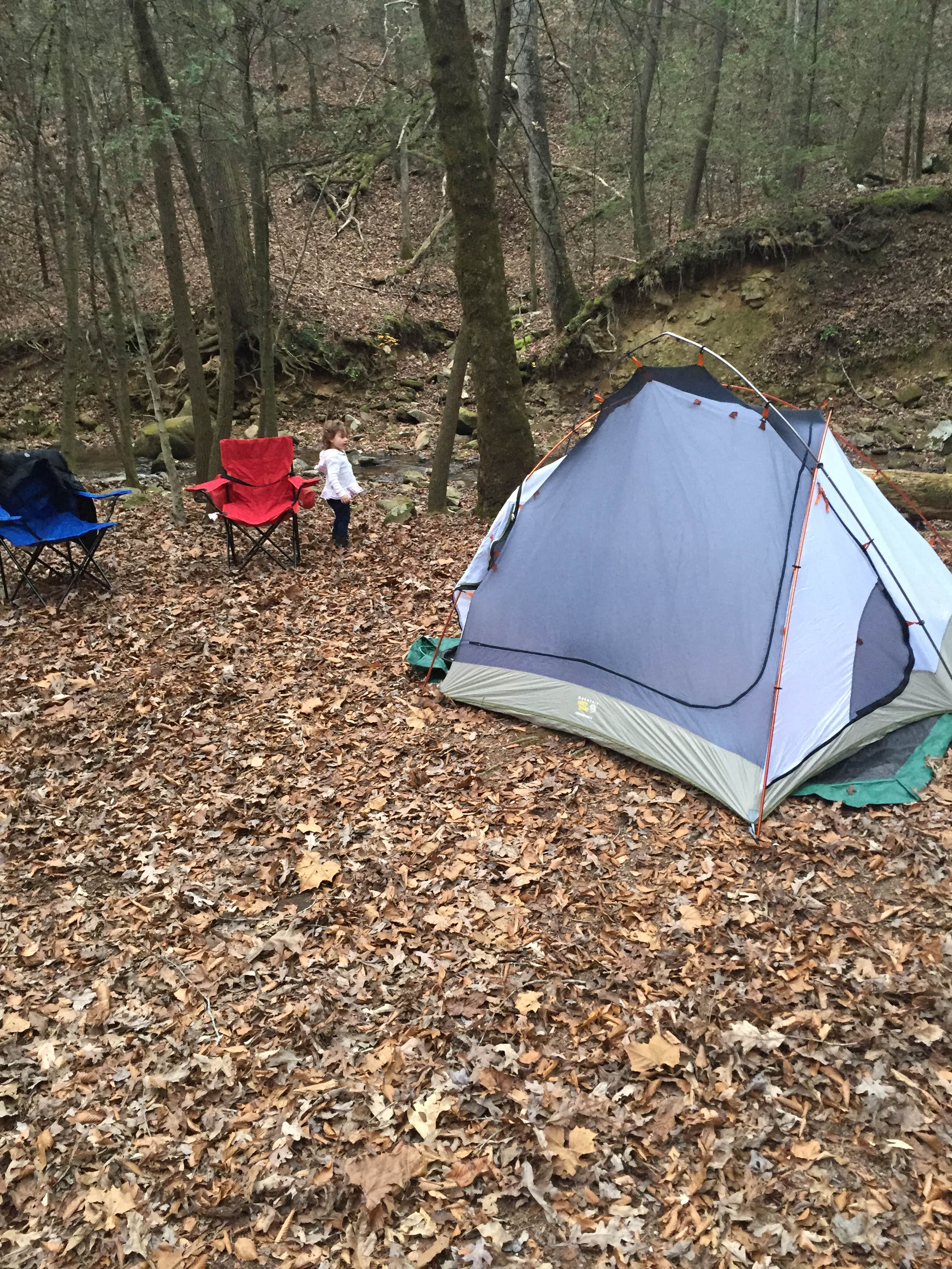 Mickey L.'s photo of tent camping at Frozen Head State Park Campground near Lenoir City, TN