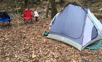 Mickey L.'s photo of tent camping at Frozen Head State Park Campground near Lenoir City, TN