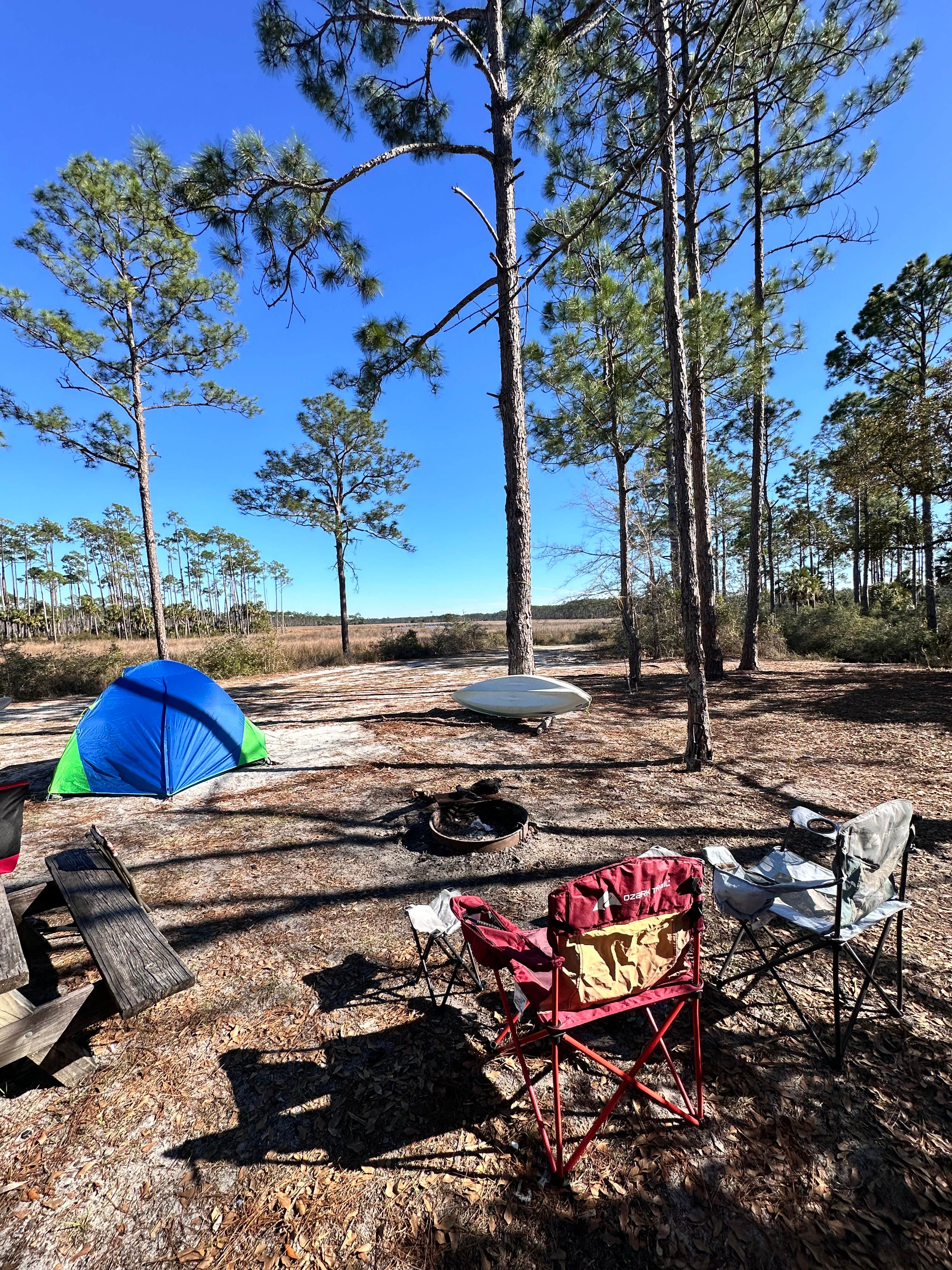 Camper-submitted photo at Tate's Hell State Forest High Bluff Primitive Campsites, FL near Eastpoint, FL