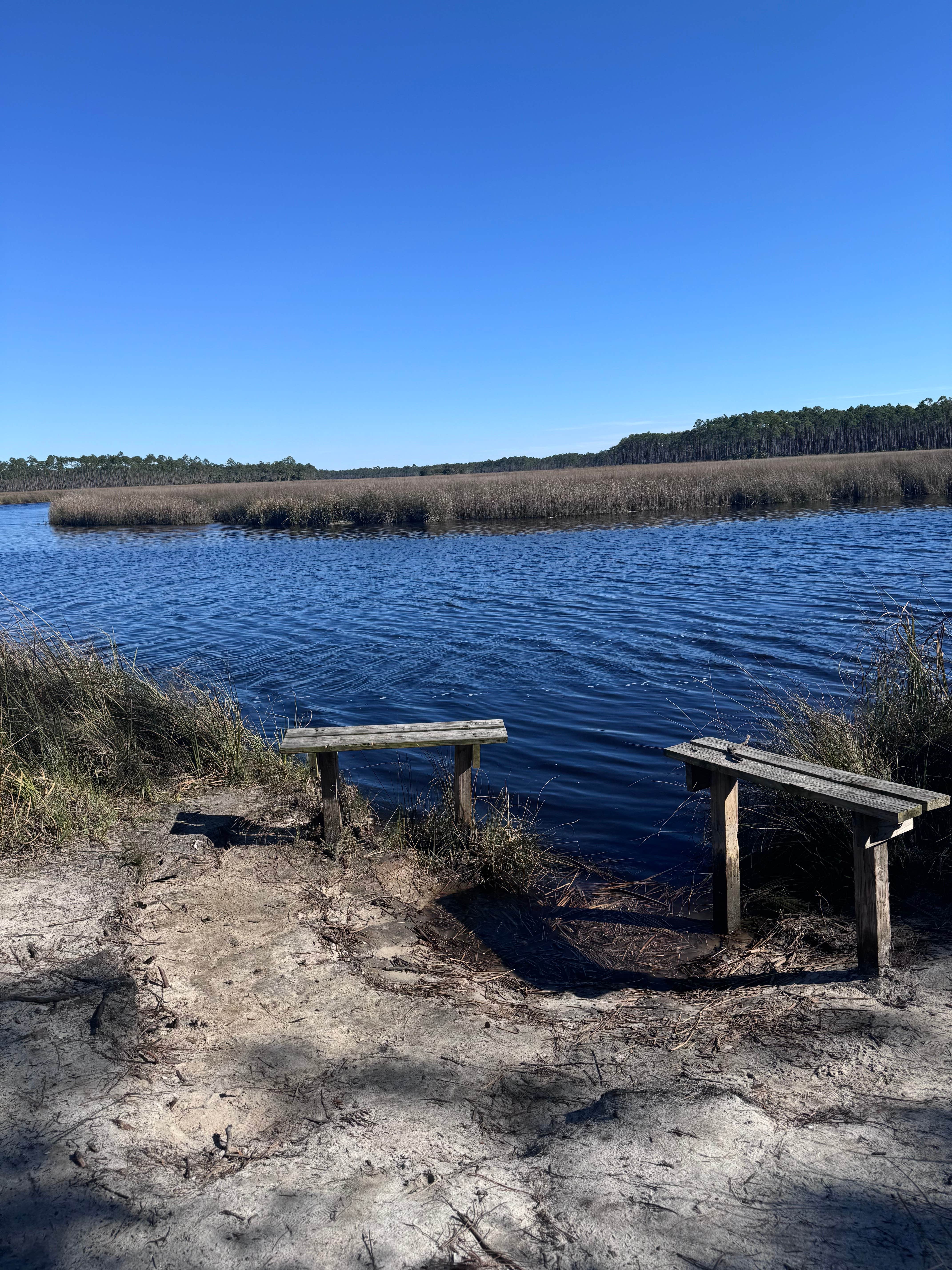 Camper-submitted photo at Tate's Hell State Forest High Bluff Primitive Campsites, FL near Eastpoint, FL