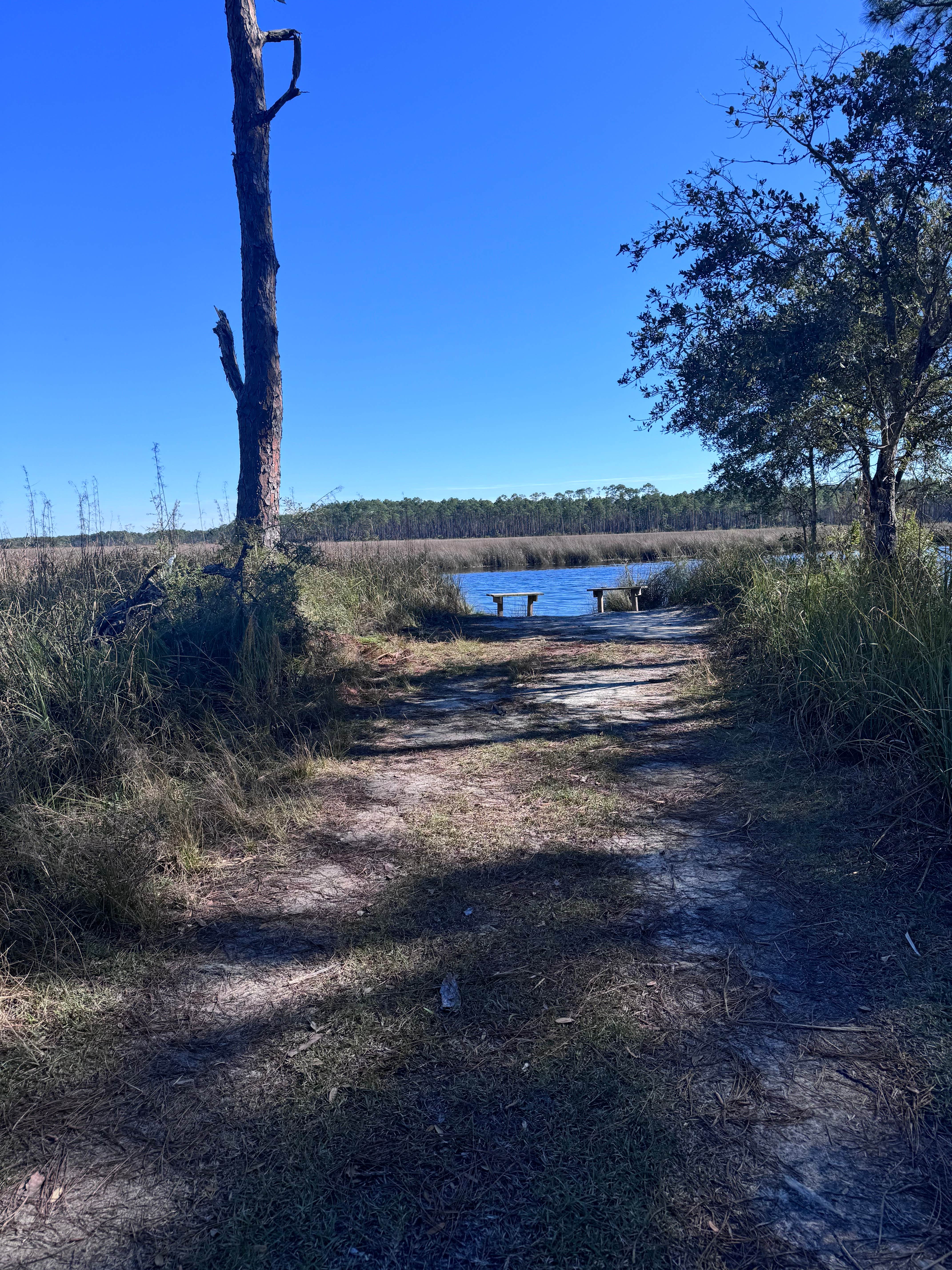Camper-submitted photo at Tate's Hell State Forest High Bluff Primitive Campsites, FL near Eastpoint, FL