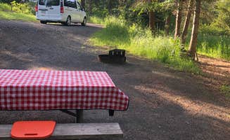 Lee D.'s photo of rv camping at Fields Spring State Park Campground near Lostine, OR