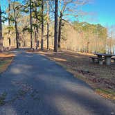 Review photo of Corney Lake South Shore Campground by Fred S., March 4, 2025