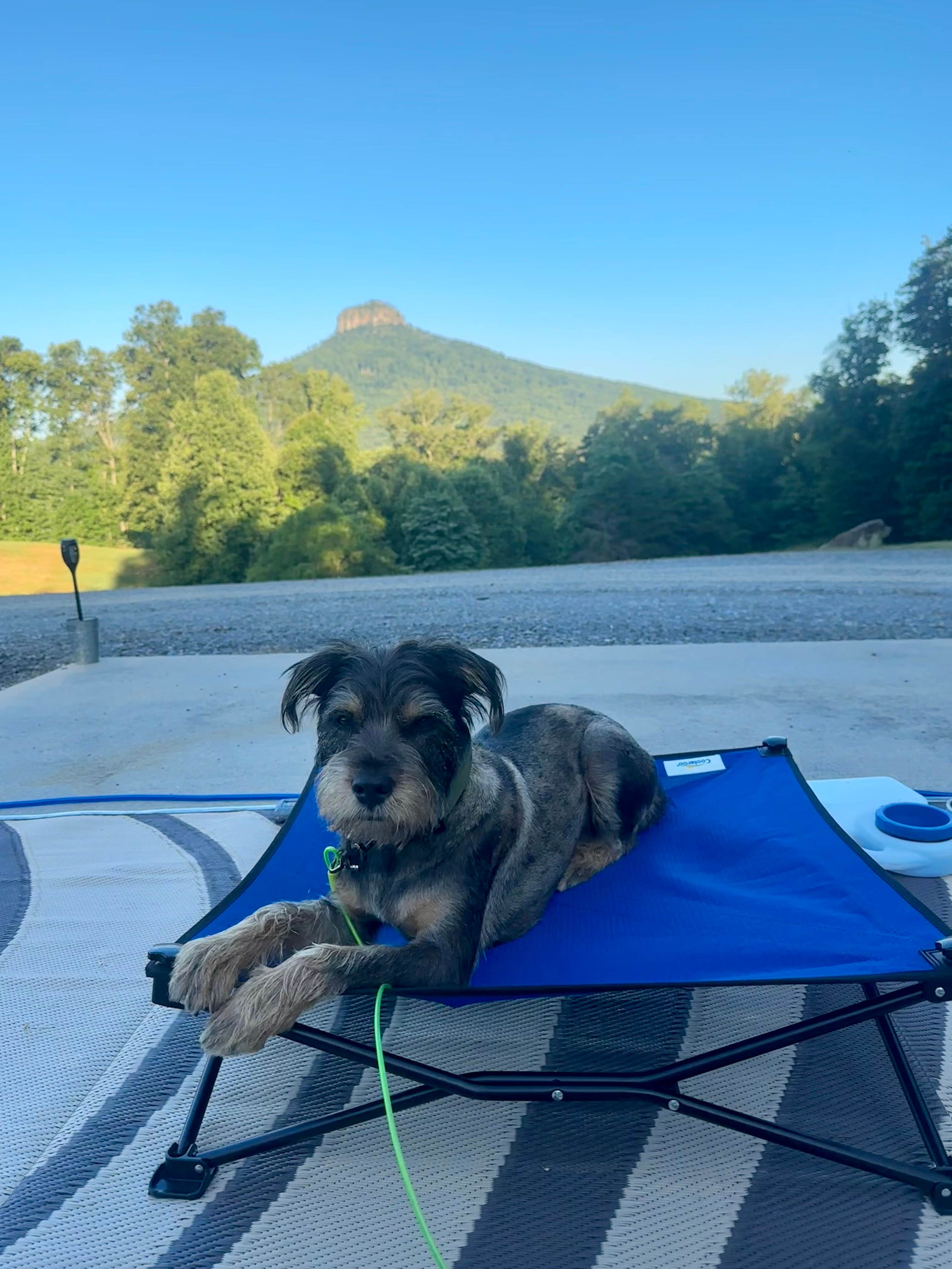 Camper-submitted photo at Greystone RV Park near Pine Hall, NC