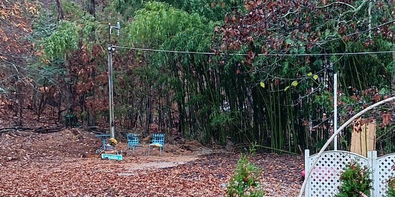 Camper submitted image from Paradise Camp