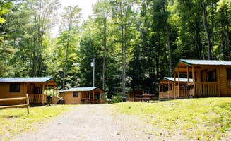 Andrea L.'s photo of a cabin at Hickory Hill Camping Resort near Pine City, NY