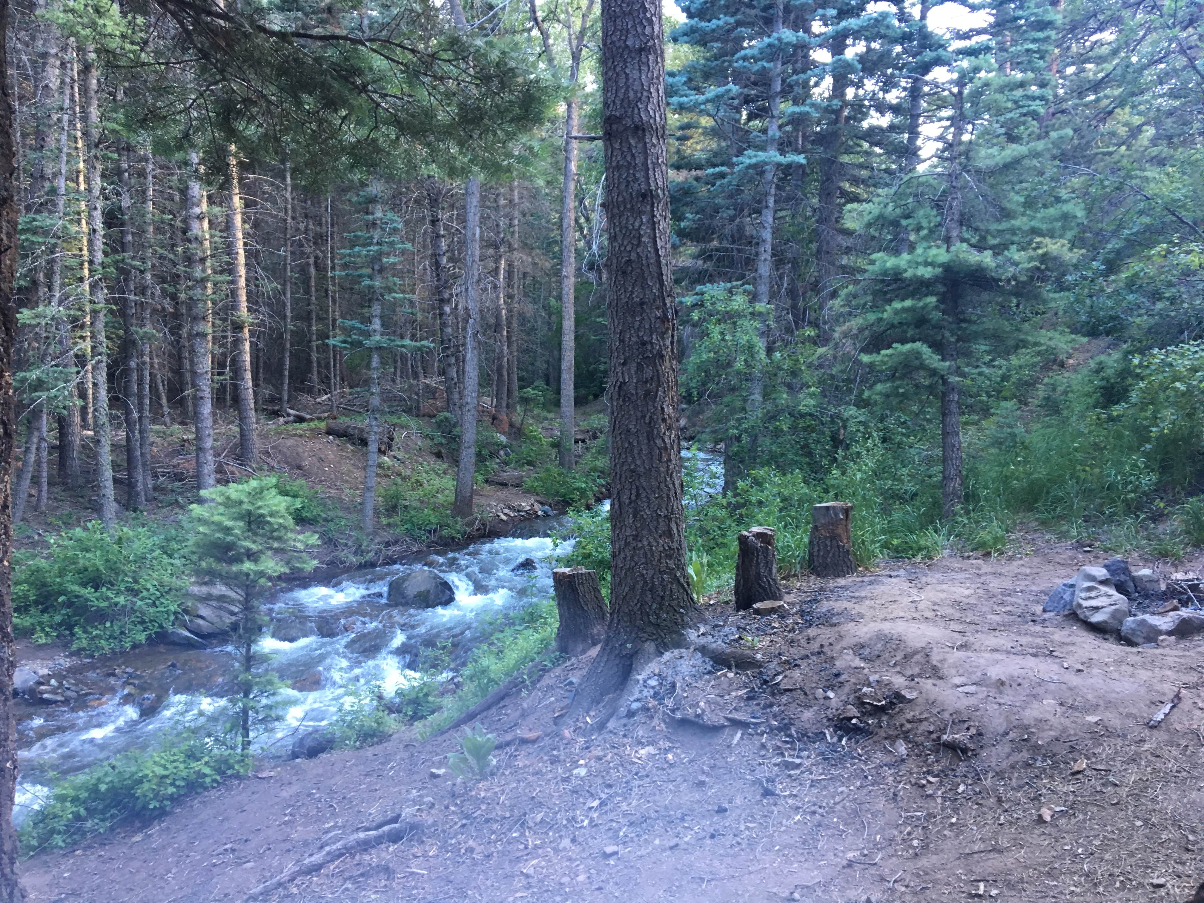 Escape To The Wild: Hayden Creek Campground, Your Colorado Adventure Awaits