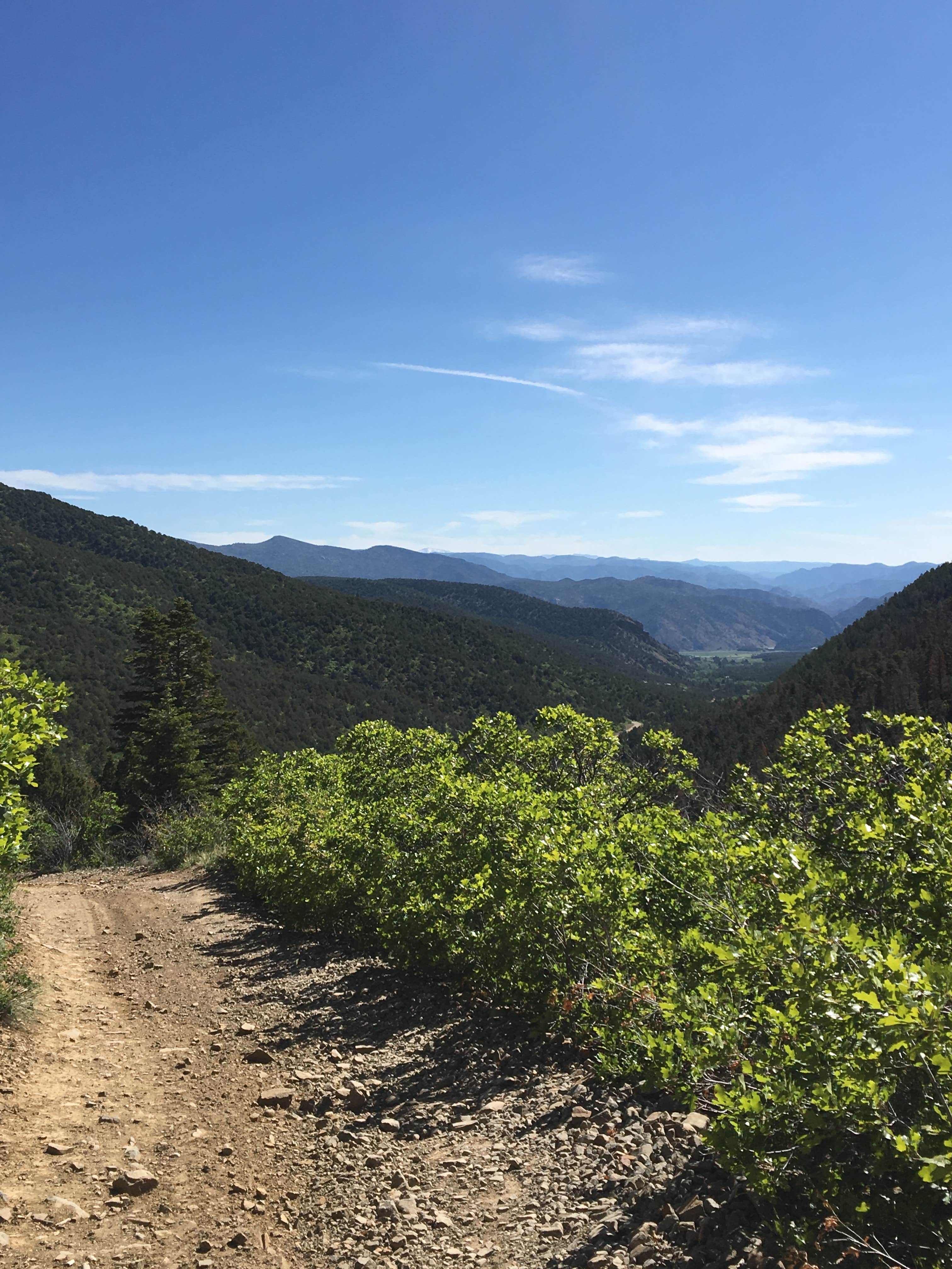 Camper-submitted photo at Hayden Creek Road near Hillside, CO