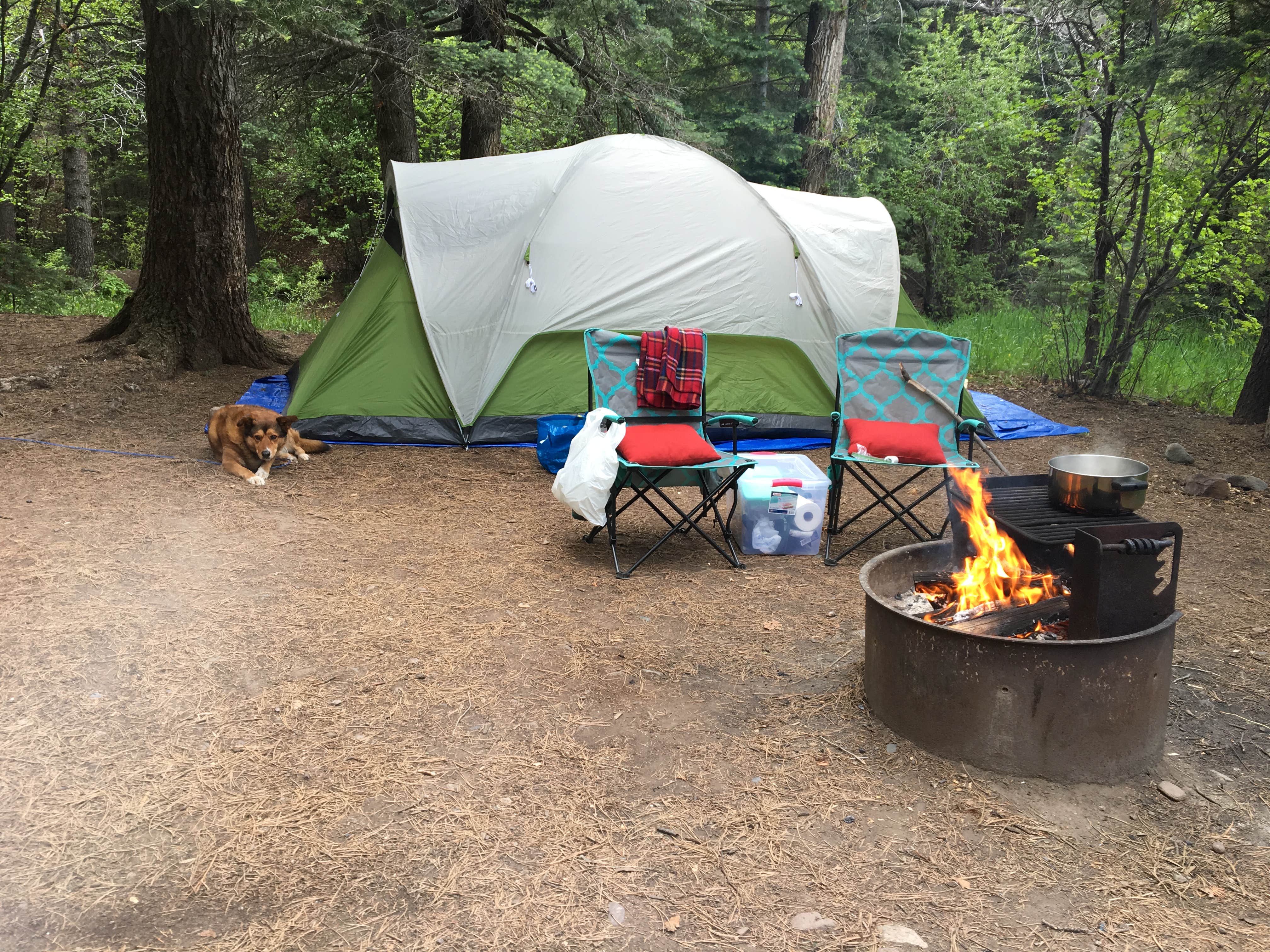 Camper submitted image from Hayden Creek Road - 3