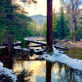 Review photo of Yellow Pine Campground (Ut) — Uinta Wasatch Cache National Forest by Neal B., July 6, 2019