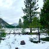 Review photo of Yellow Pine Campground (Ut) — Uinta Wasatch Cache National Forest by Neal B., July 6, 2019