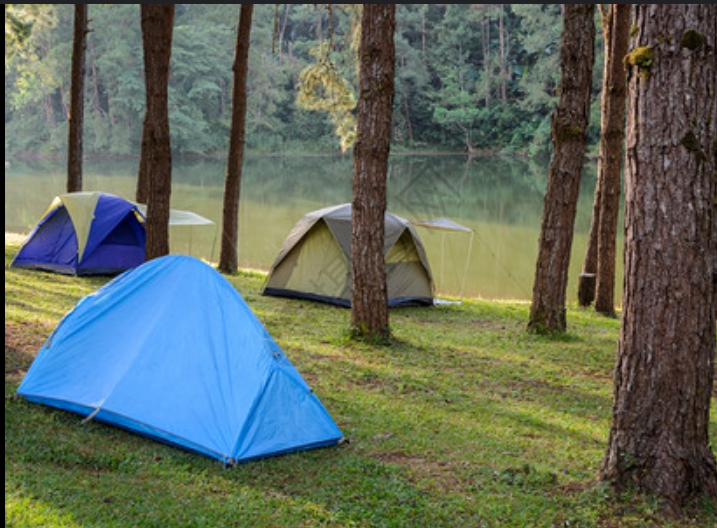 Camper-submitted photo at May the Forest Be With You unique RV stay near Jonestown, TX