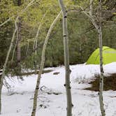 Review photo of Yellow Pine Campground (Ut) — Uinta Wasatch Cache National Forest by Neal B., July 6, 2019