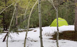 Neal B.'s photo at Yellow Pine Campground (Ut) — Uinta Wasatch Cache National Forest near Kamas, UT