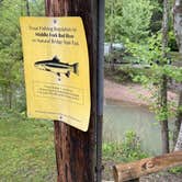 Review photo of Middle Fork Campground — Natural Bridge State Resort Park by Lee D., March 6, 2025