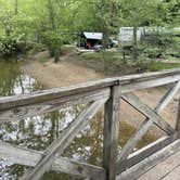 Review photo of Middle Fork Campground — Natural Bridge State Resort Park by Lee D., March 6, 2025