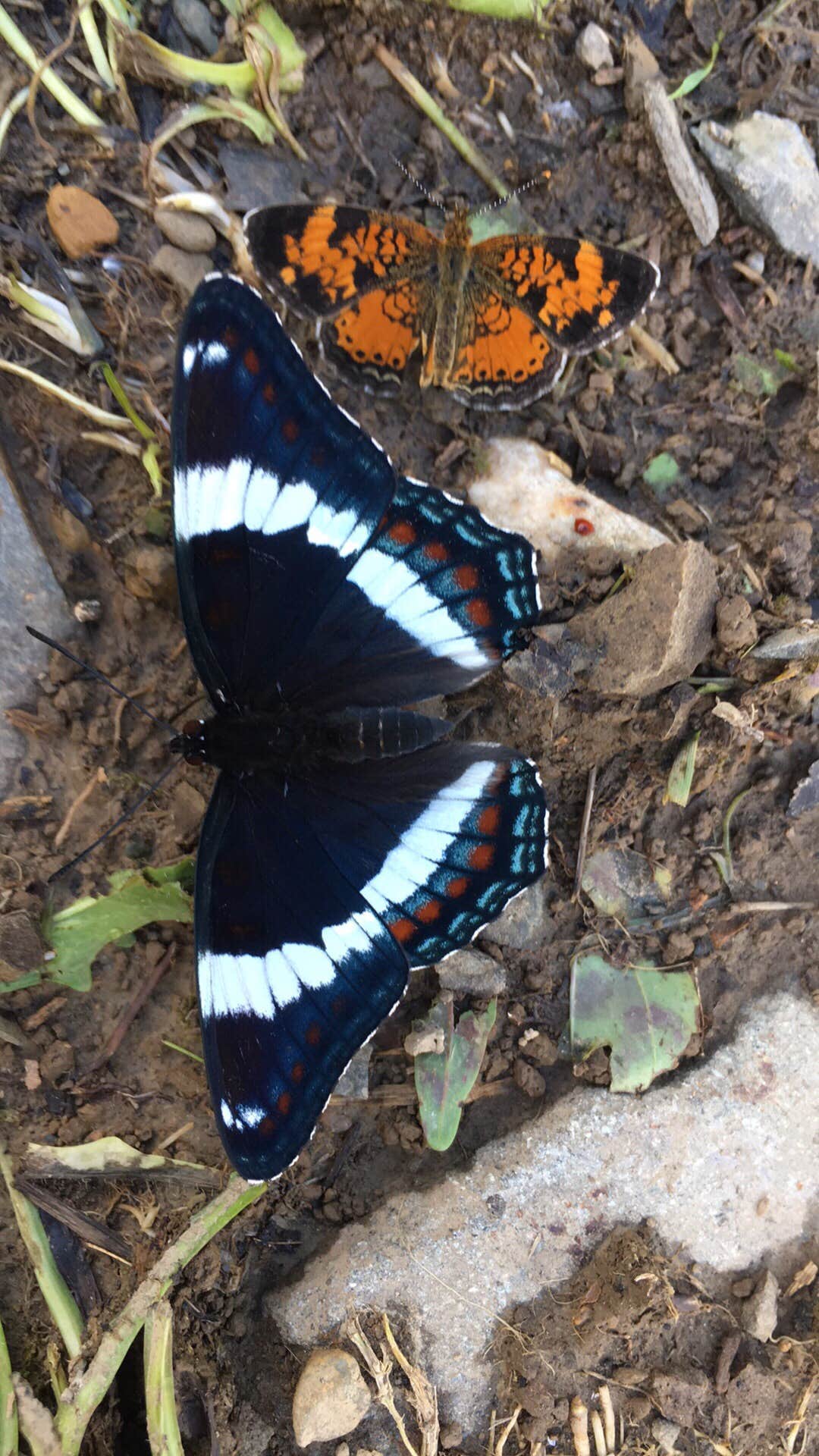 Camper-submitted photo at Arndt's Aroostook River Lodge & Campground near Houlton, ME