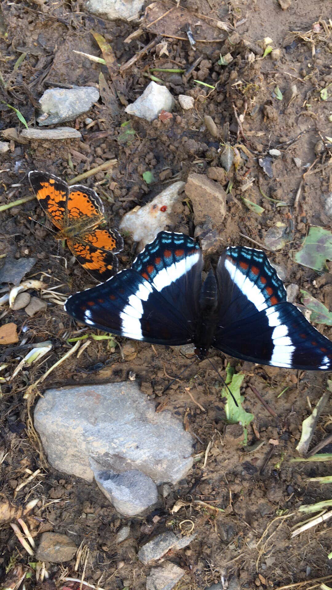 Camper-submitted photo at Arndt's Aroostook River Lodge & Campground near Houlton, ME