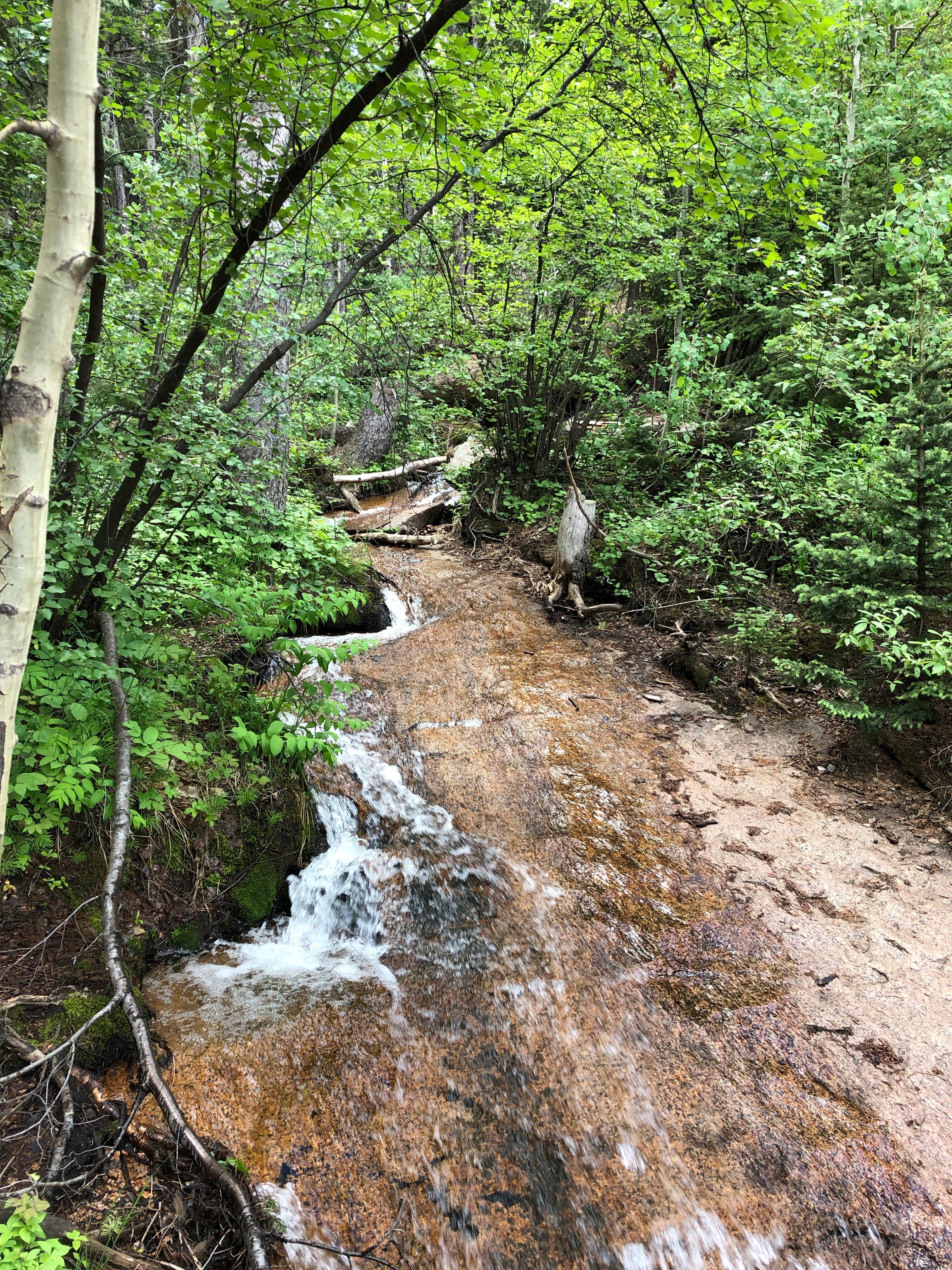 Camper submitted image from Castle Mountain Recreation Area at Wellington Lake - 5