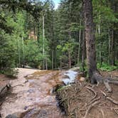 Review photo of Castle Mountain Recreation Area at Wellington Lake by Chris G., July 6, 2019