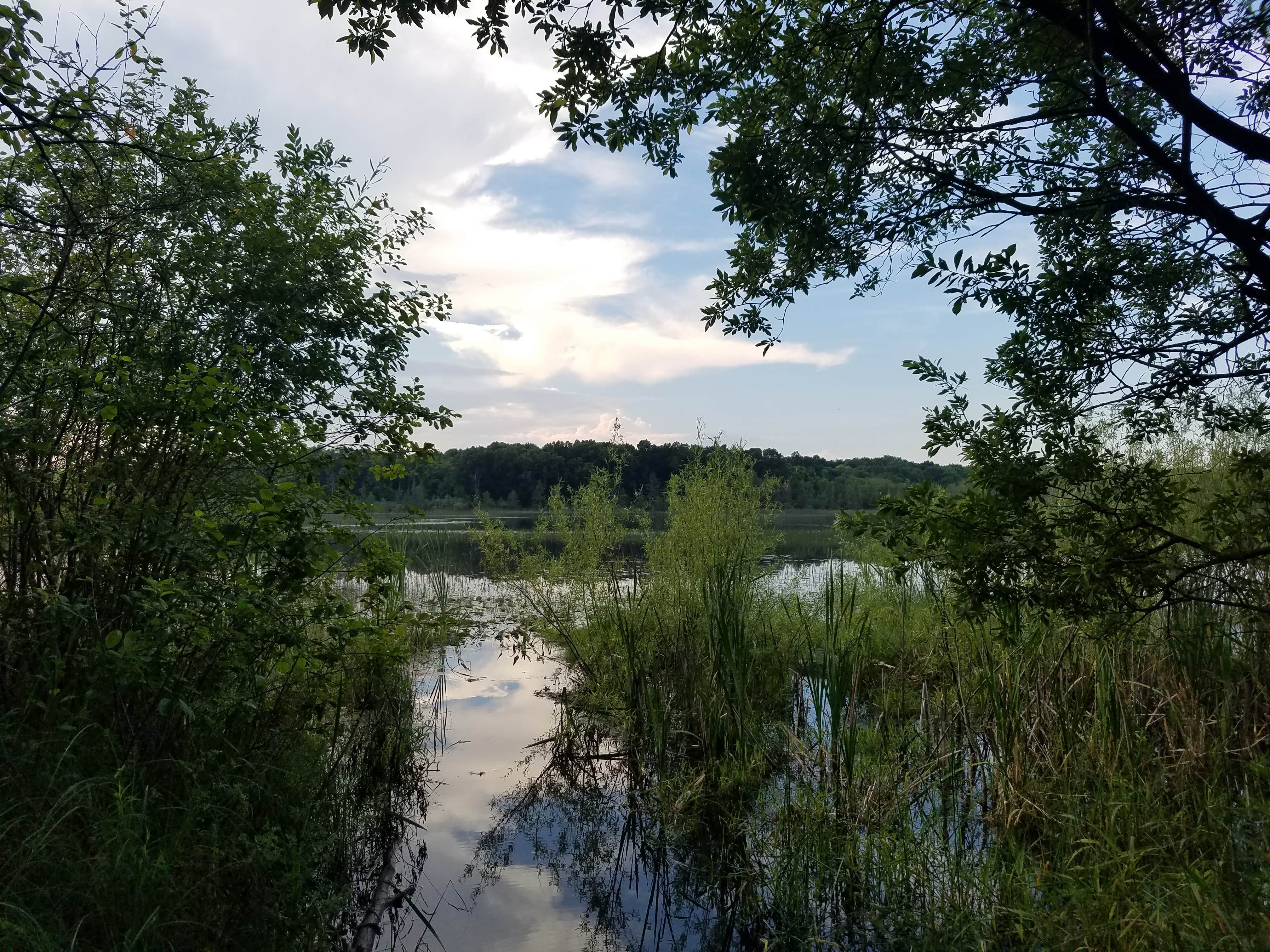 Camper-submitted photo at Murray Lake Campground near Hamburg, MI