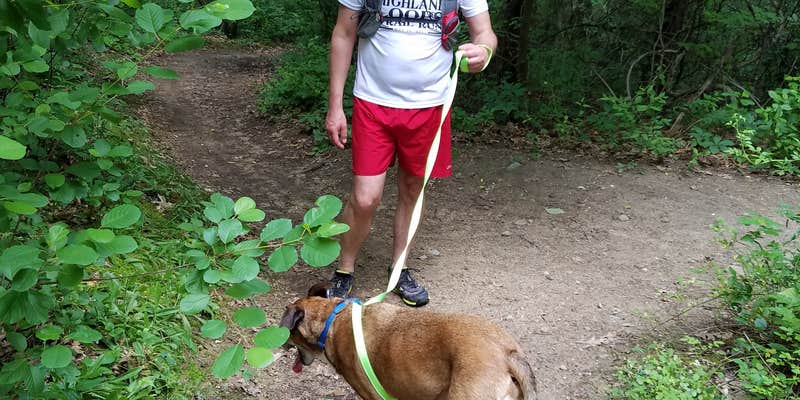 Camper submitted image from Murray Lake Campground